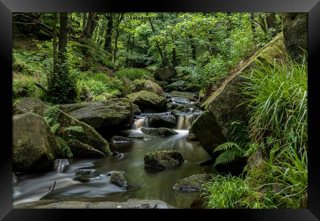 Burbage Brook, Padley Gorge, Derbyshire 4 Framed Print by Lisa Hands