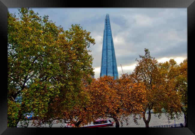 Towering London Skyscraper Framed Print by Andy Evans Photos
