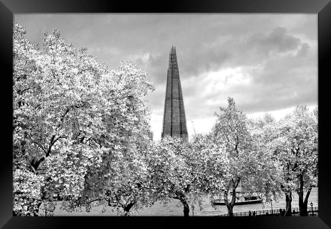 The Shard London Bridge Tower Framed Print by Andy Evans Photos