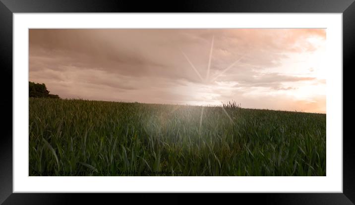 wheat field Framed Mounted Print by paul ratcliffe