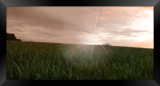 wheat field Framed Print by paul ratcliffe