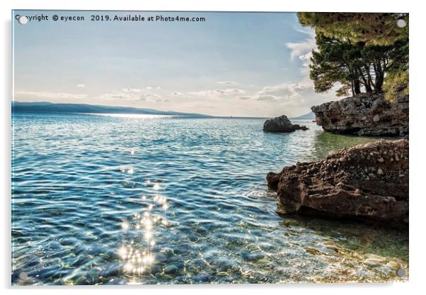 Pine seaside of Riviera Makarska in Croatia  Acrylic by eyecon 