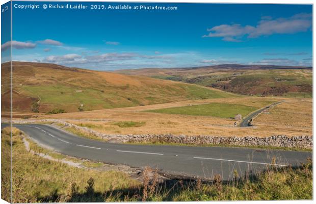 Down into Swaledale Canvas Print by Richard Laidler