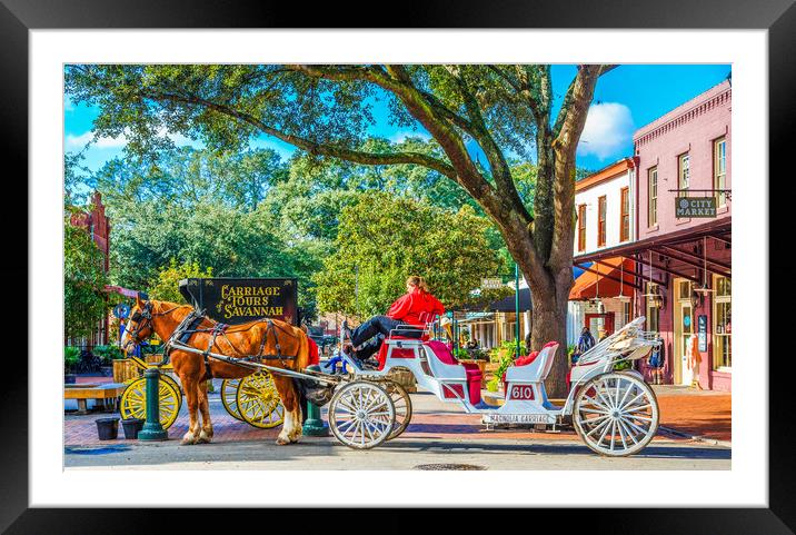Carriage Tours Savannah Framed Mounted Print by Darryl Brooks
