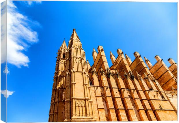 Cathedral of Santa Maria of Palma Canvas Print by Darryl Brooks