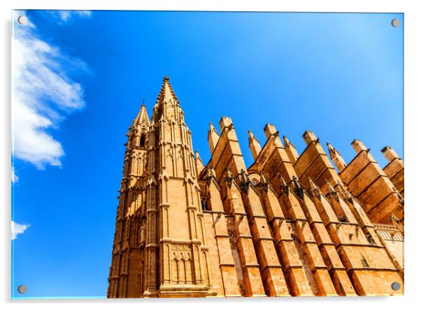 Cathedral of Santa Maria of Palma Acrylic by Darryl Brooks