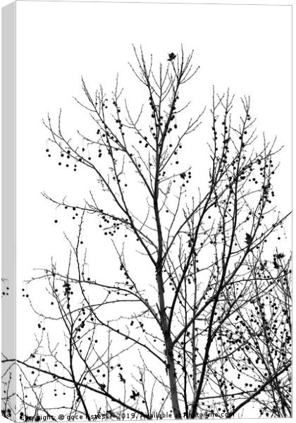 black and white tree branches autumn Canvas Print by goce risteski