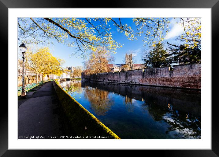 Wells Cathedral on a bright spring morning Framed Mounted Print by Paul Brewer
