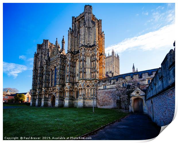 Wells Cathedral early in Spring  Print by Paul Brewer