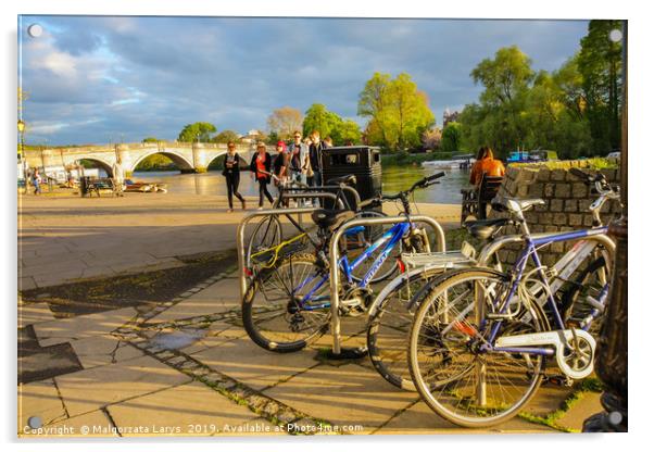 Bikes at the river bank in Richmond Acrylic by Malgorzata Larys