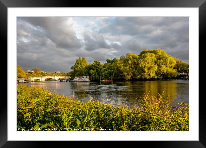 River Thames in Richmond, London, England, UK Framed Mounted Print by Malgorzata Larys