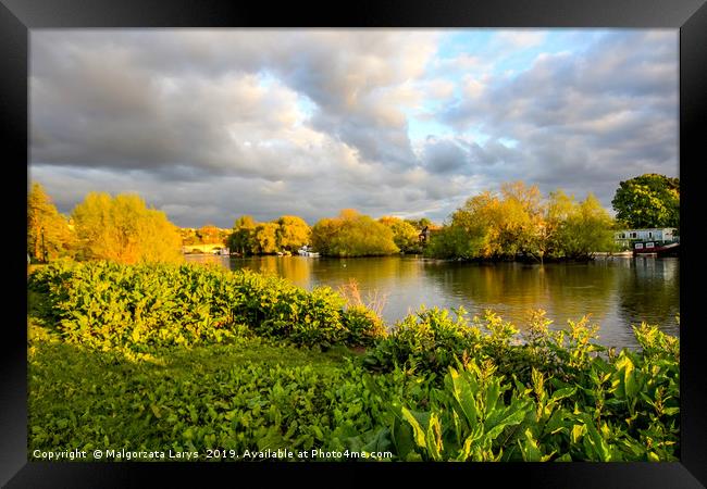 River Thames in Richmond, London, England, UK Framed Print by Malgorzata Larys