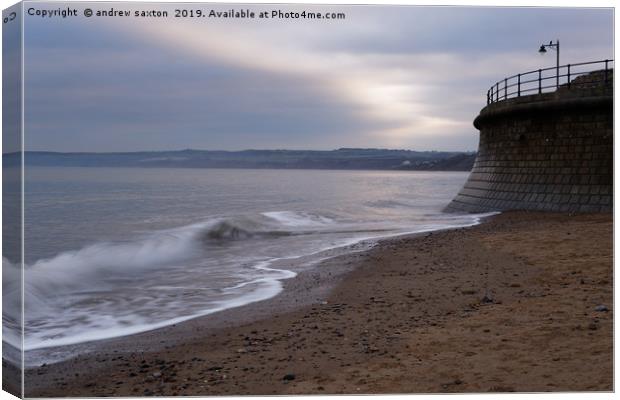 GIVE US A WAVE Canvas Print by andrew saxton