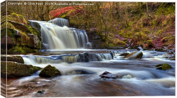 Waterfall near Talybont Canvas Print by Clive Rees