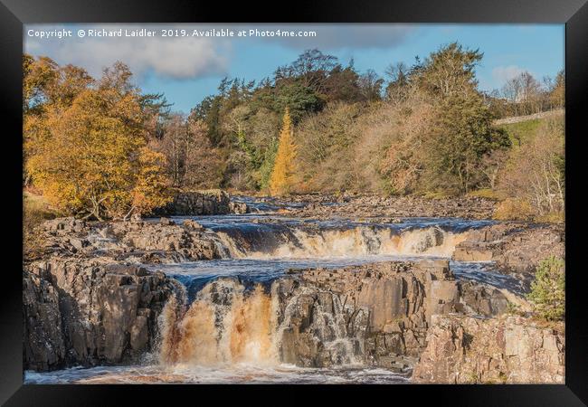 Autumn at Low Force Waterfall, Teesdale Framed Print by Richard Laidler