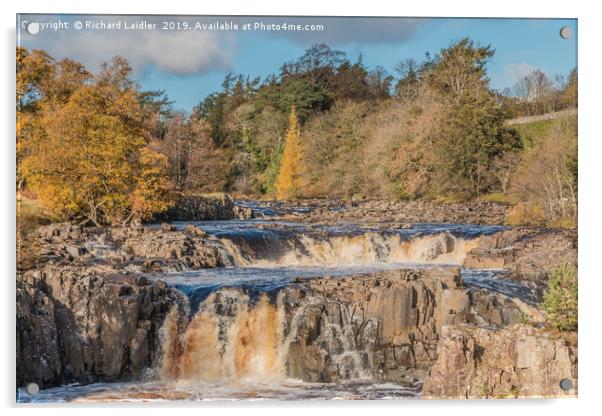 Autumn at Low Force Waterfall, Teesdale Acrylic by Richard Laidler
