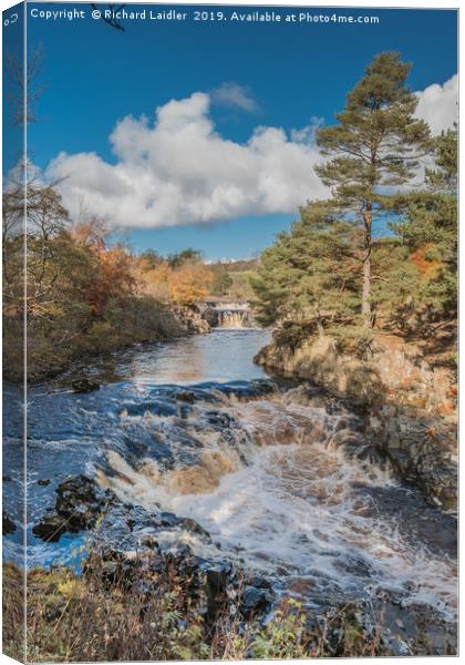 Autumn at Low Force Waterfall, Teesdale Canvas Print by Richard Laidler