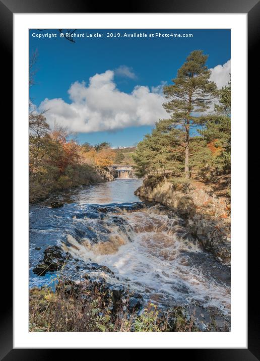 Autumn at Low Force Waterfall, Teesdale Framed Mounted Print by Richard Laidler