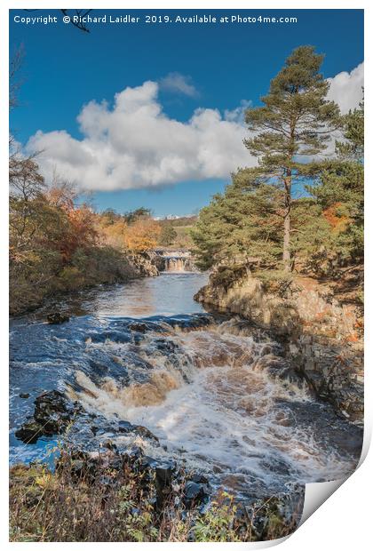 Autumn at Low Force Waterfall, Teesdale Print by Richard Laidler