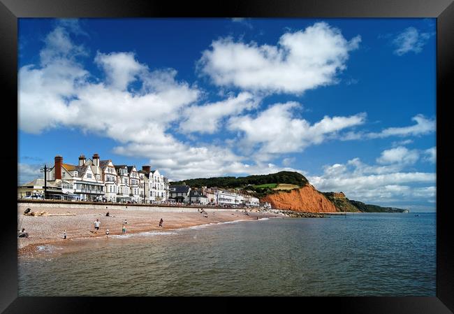 Sidmouth Seafront & Coastline                   Framed Print by Darren Galpin
