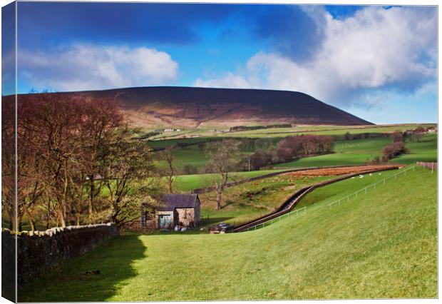 Shadows over Pendle Hill Canvas Print by David McCulloch