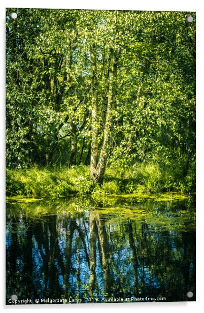 Silver birch tree at Monklands Canal in Scotland w Acrylic by Malgorzata Larys