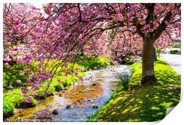 Spring at the river in Scotland Print by Malgorzata Larys