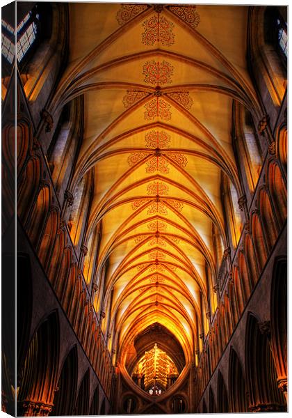 Wells Cathedral ceiling Canvas Print by Roy Scrivener