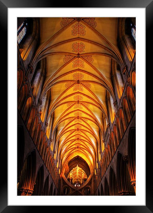 Wells Cathedral ceiling Framed Mounted Print by Roy Scrivener