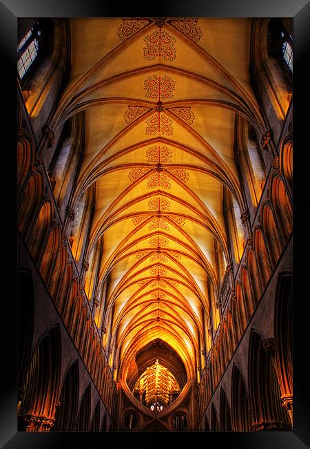 Wells Cathedral ceiling Framed Print by Roy Scrivener