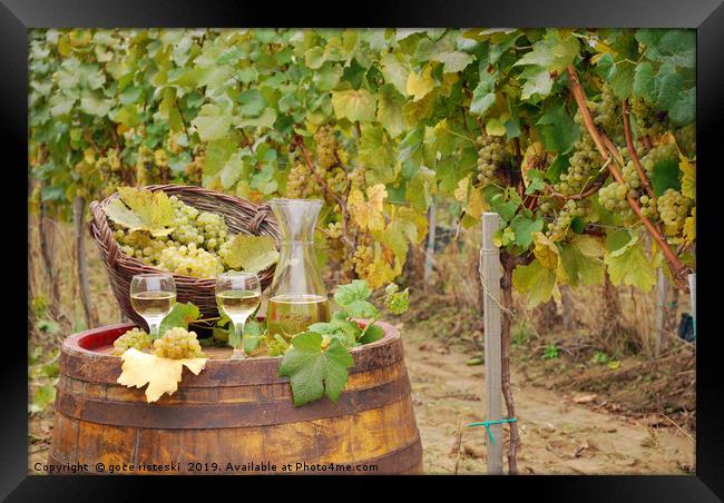 white wine and grape on barrel in vineyard Framed Print by goce risteski