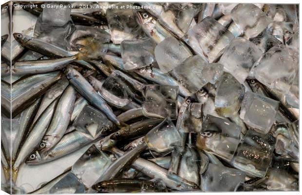 The fish are being sold in a market Canvas Print by Gary Parker