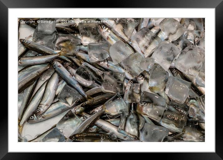The fish are being sold in a market Framed Mounted Print by Gary Parker