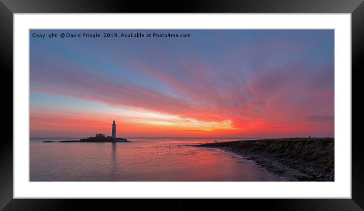 St. Mary's Lighthouse Framed Mounted Print by David Pringle