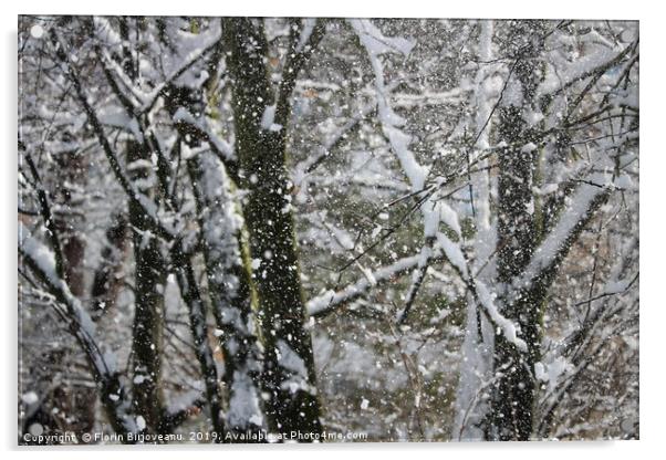 Snowy Trees  Acrylic by Florin Birjoveanu