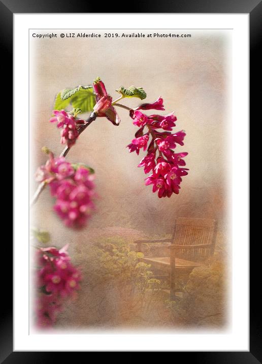 Spring in the Garden Framed Mounted Print by LIZ Alderdice