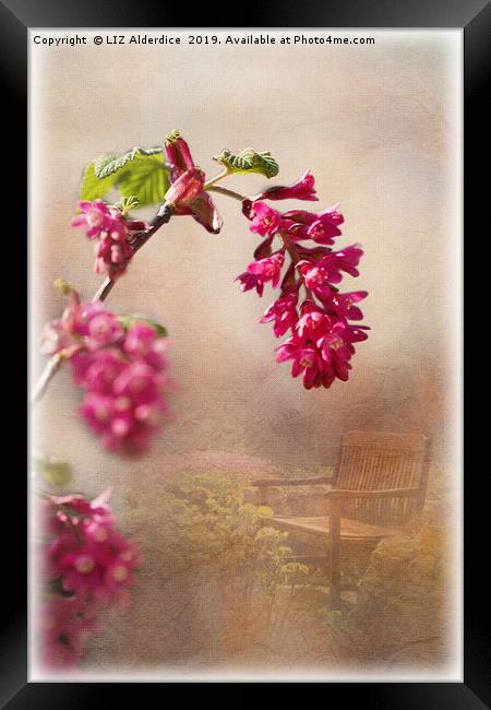 Spring in the Garden Framed Print by LIZ Alderdice