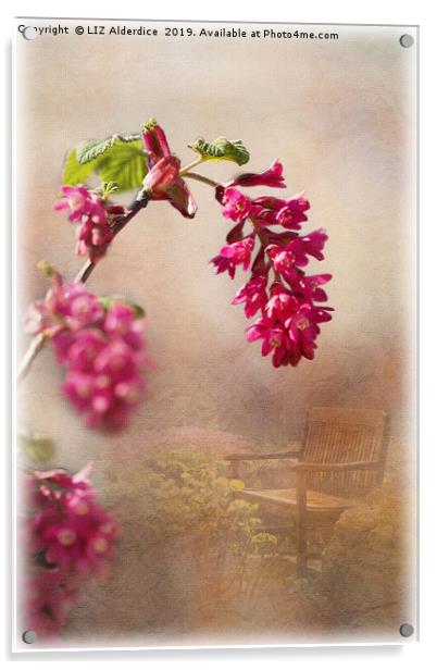 Spring in the Garden Acrylic by LIZ Alderdice