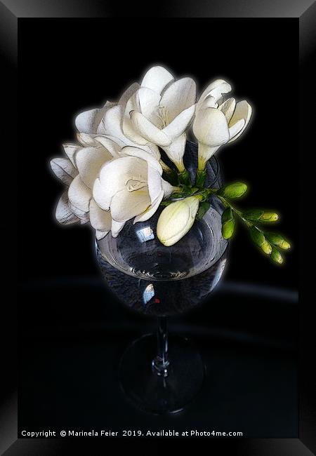 white freesia in a glass Framed Print by Marinela Feier