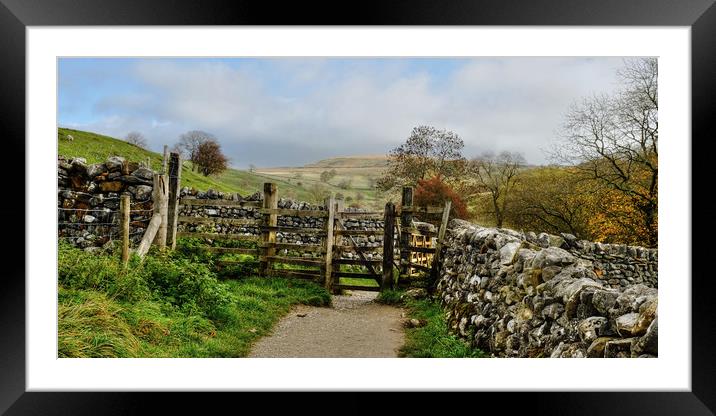  Malham Hills Yorkshire Dales Framed Mounted Print by Diana Mower