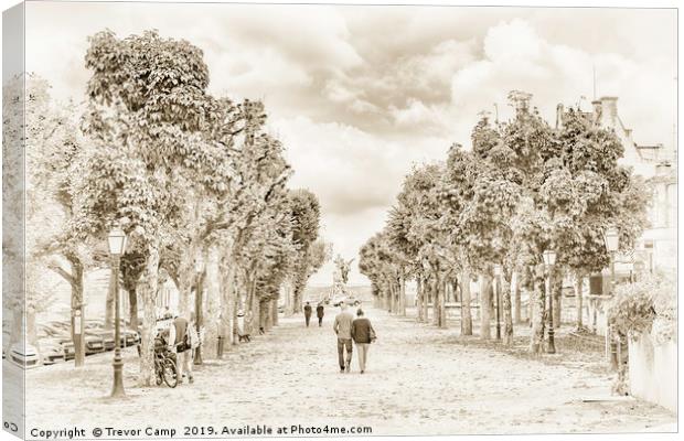 Enchanting Tree-Lined Avenue in France Canvas Print by Trevor Camp
