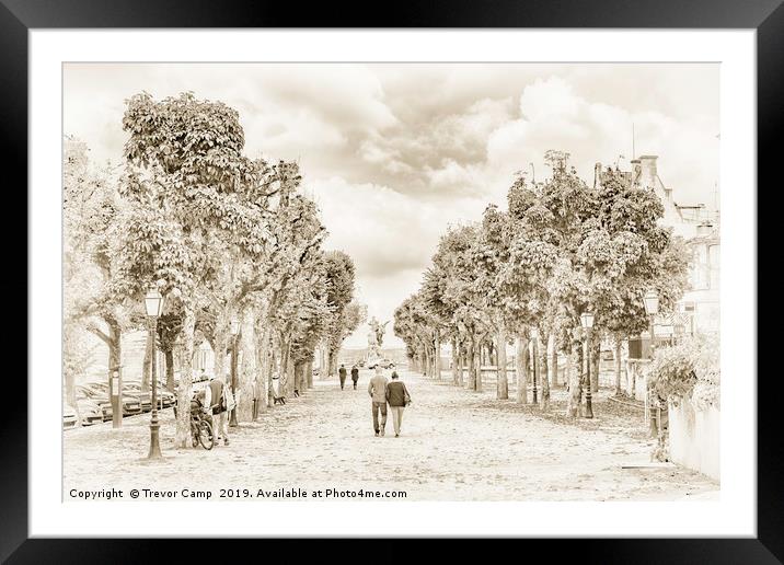 Enchanting Tree-Lined Avenue in France Framed Mounted Print by Trevor Camp