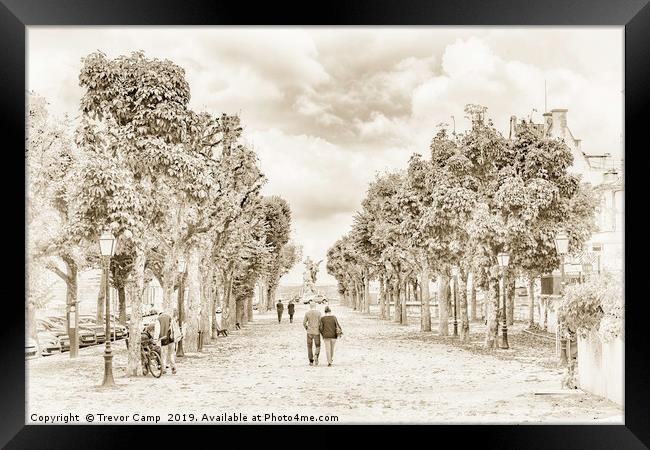 Enchanting Tree-Lined Avenue in France Framed Print by Trevor Camp