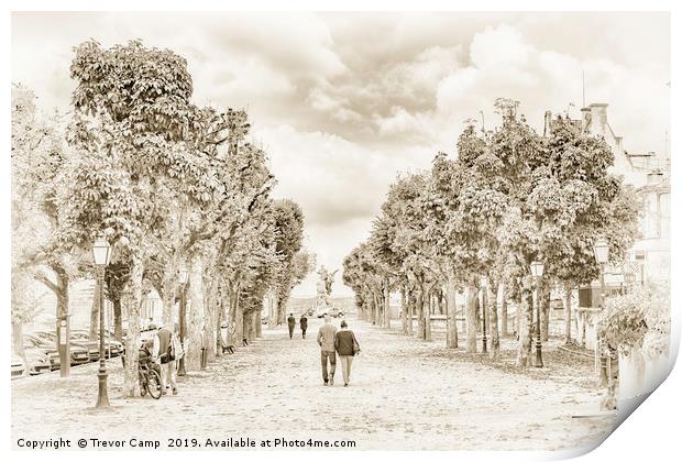 Enchanting Tree-Lined Avenue in France Print by Trevor Camp