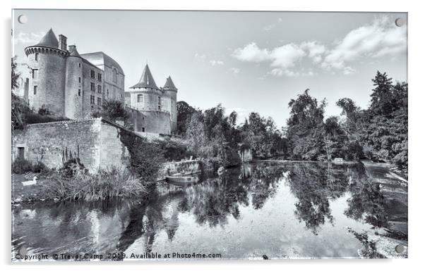 The Enchanting Chateau de Verteuil Acrylic by Trevor Camp
