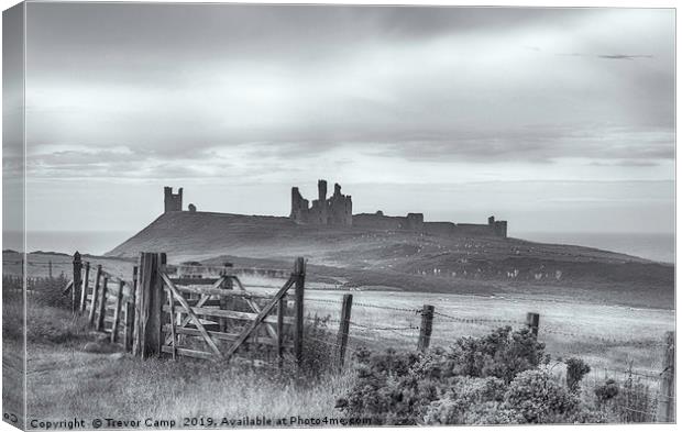 Ruins of Dunstanburgh Castle Canvas Print by Trevor Camp