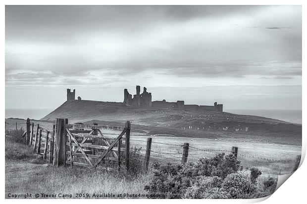 Ruins of Dunstanburgh Castle Print by Trevor Camp