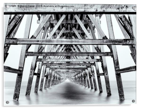 Hartlepool's Forgotten Wooden Pier Acrylic by Trevor Camp
