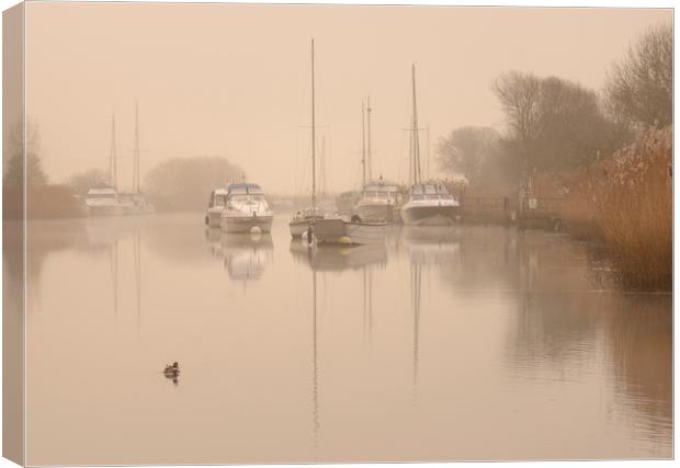 Wareham Quay Mist Canvas Print by David Neighbour