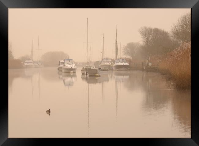 Wareham Quay Mist Framed Print by David Neighbour